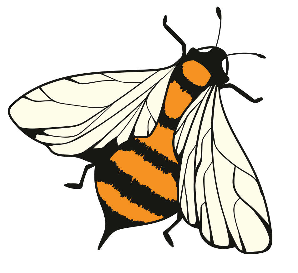 Bee Fashion
